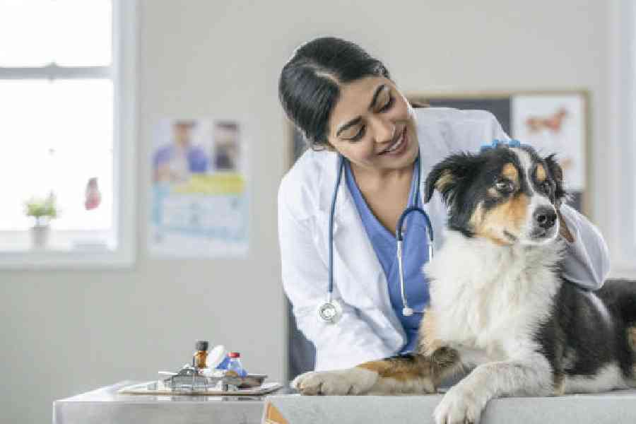 micon book appointment